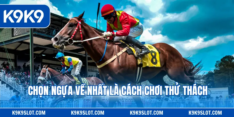 Chọn ngựa về nhất là cách chơi thử thách