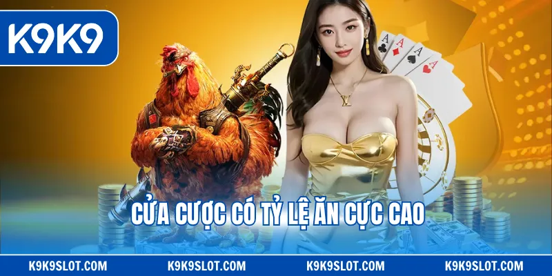 Cửa cược này có tỷ lệ ăn cực cao